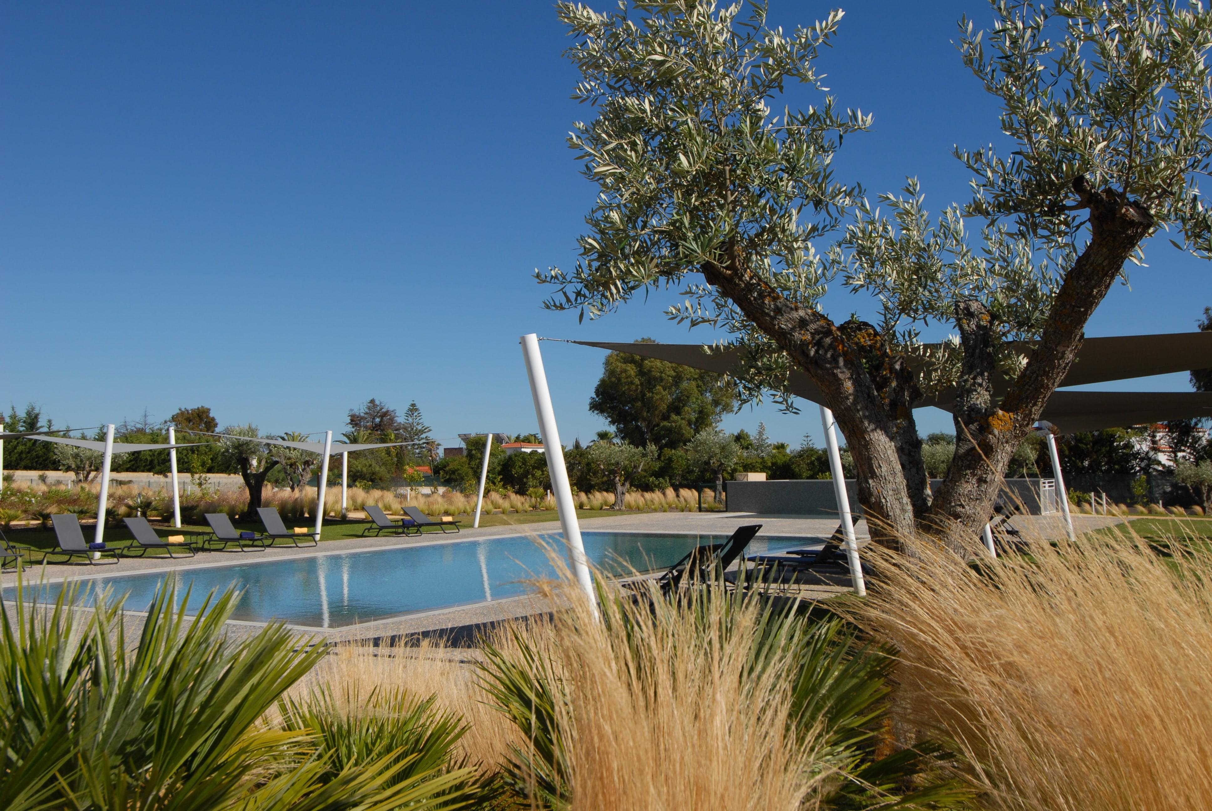Quinta Do Algarvio Village カルヴォエイロ エクステリア 写真