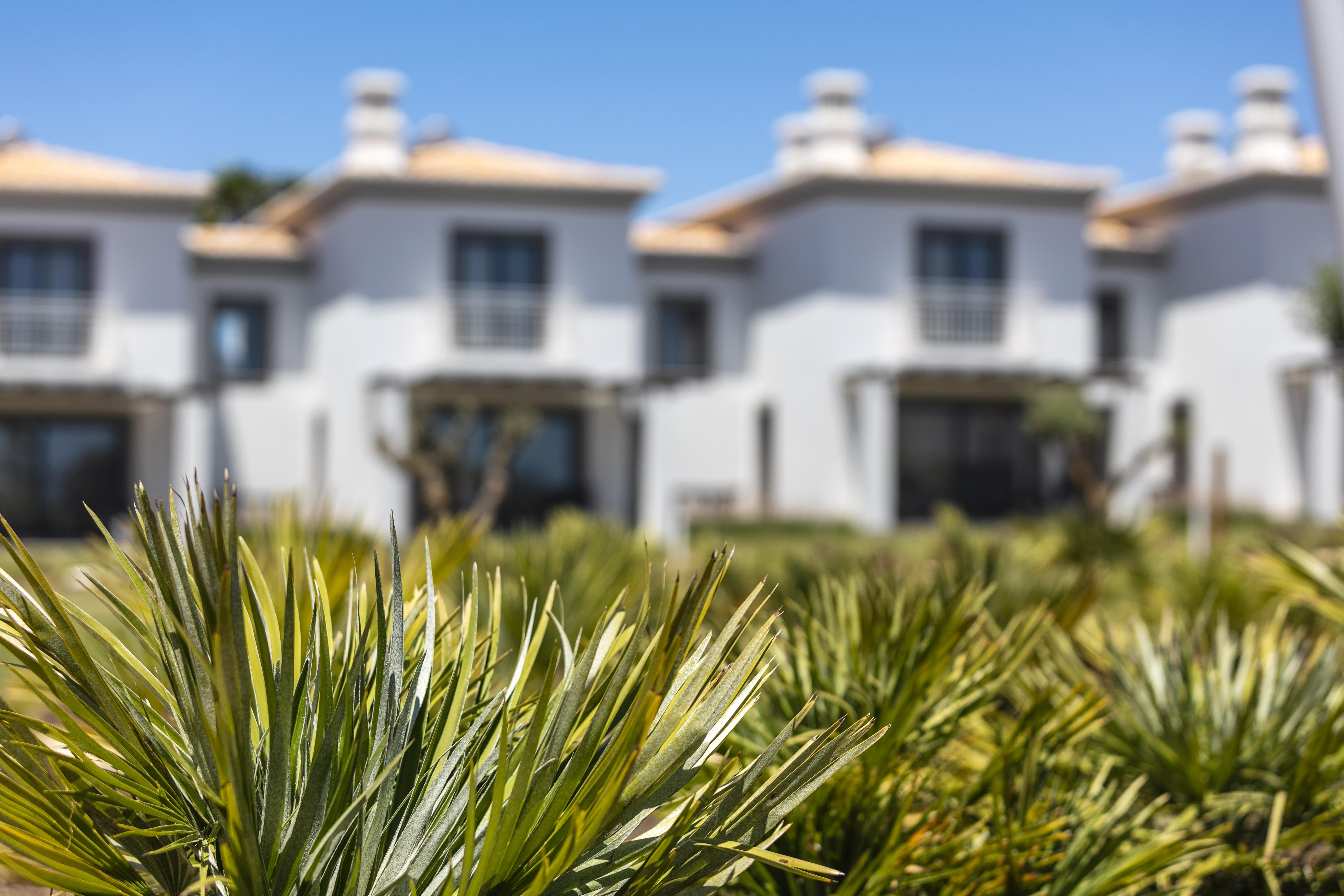Quinta Do Algarvio Village カルヴォエイロ エクステリア 写真