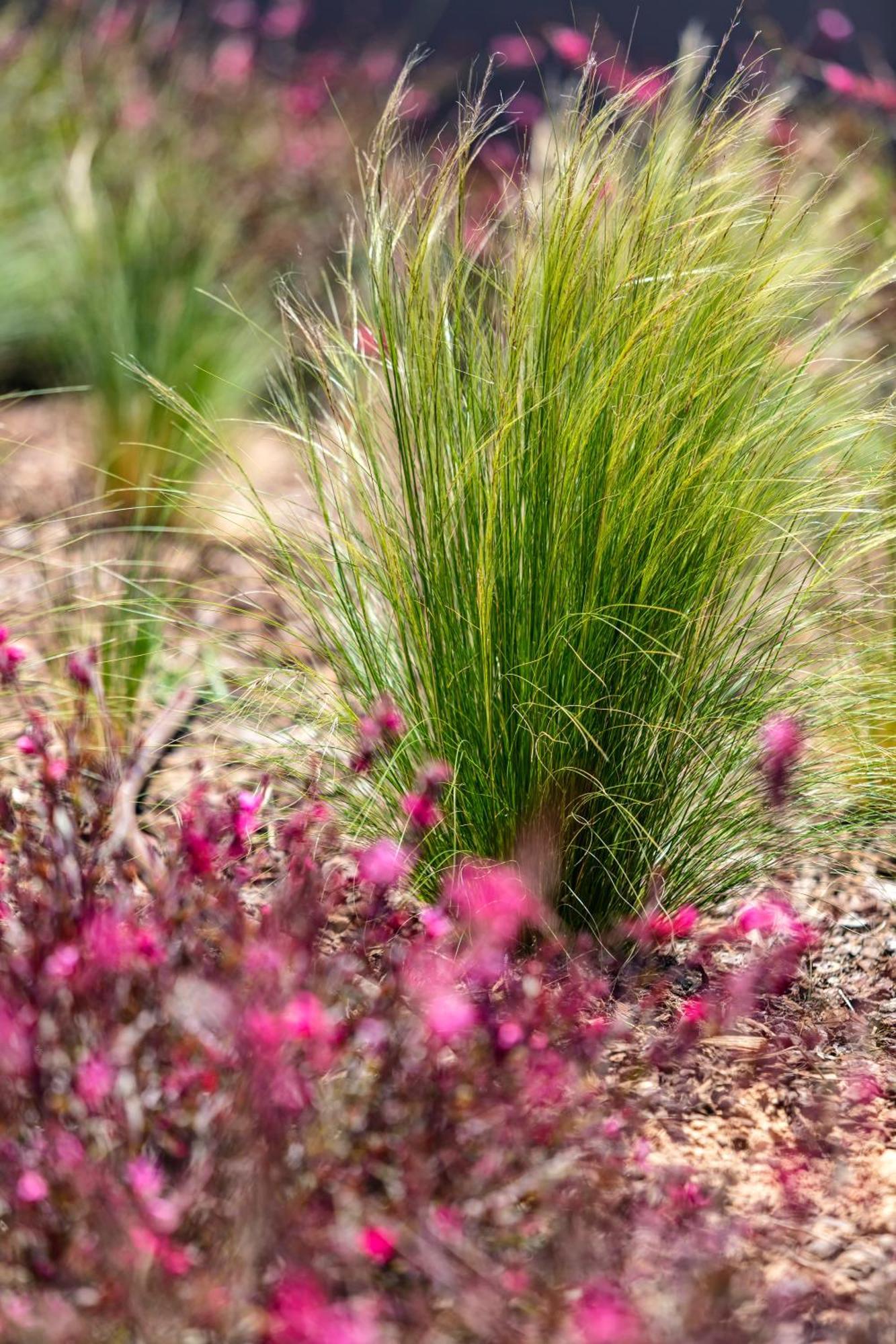 Quinta Do Algarvio Village カルヴォエイロ エクステリア 写真